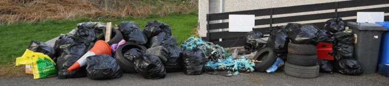 Read more about the article Successful litter pick